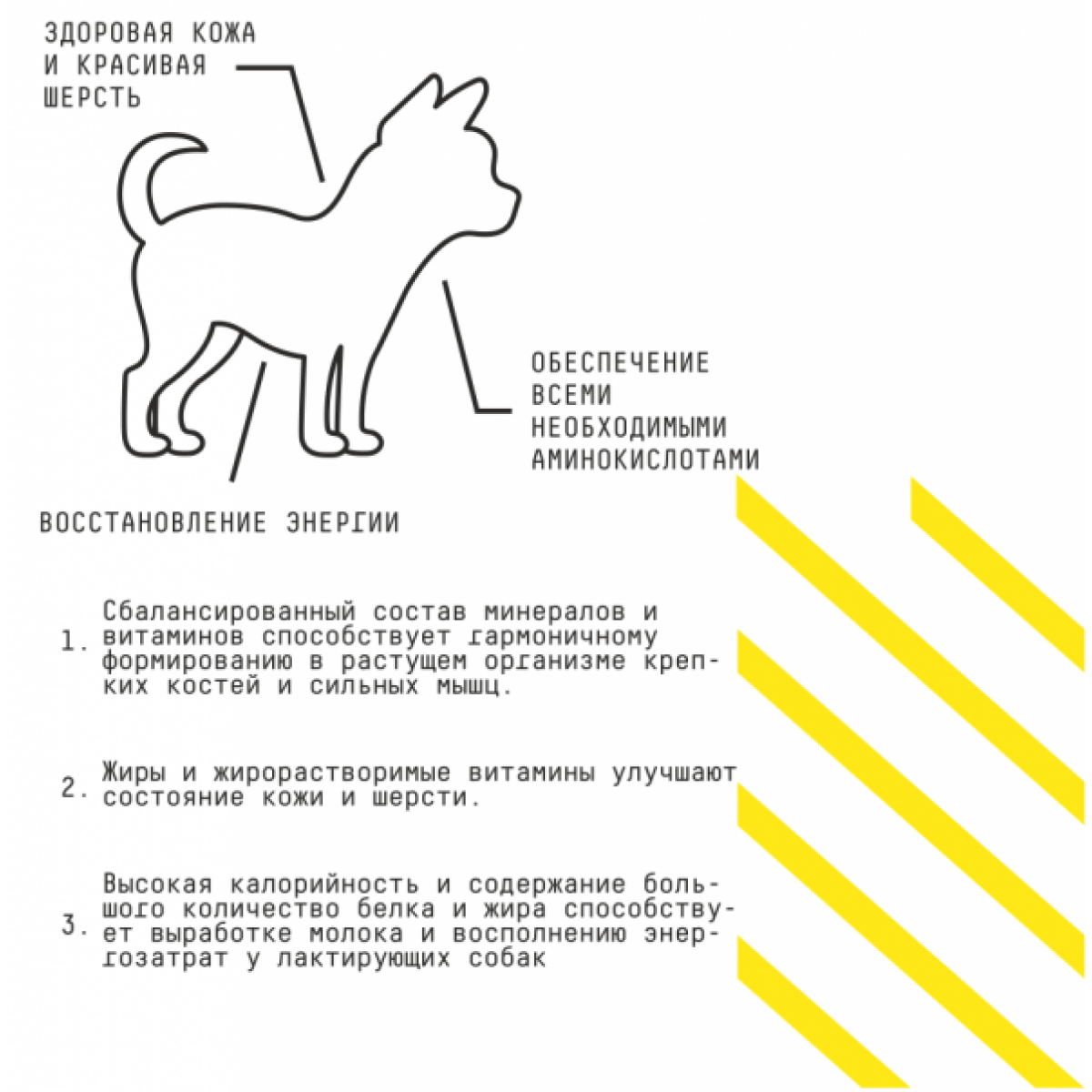 Сухой корм для щенков миниатюрных пород AJO BASIC LINE VERY SMALL PUPPY & JUNIOR с индейкой и гречкой, 1,5 кг