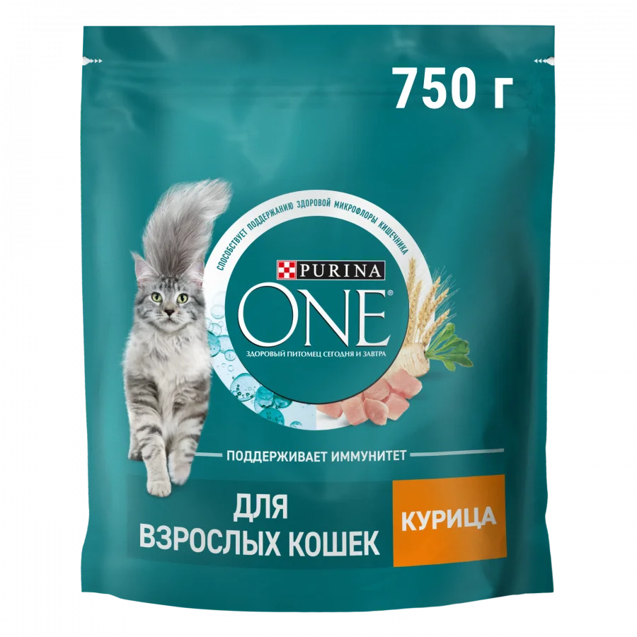 Сухой корм Purina ONE® для взрослых кошек, с высоким содержанием курицы и цельными злаками, Пакет, 750 г