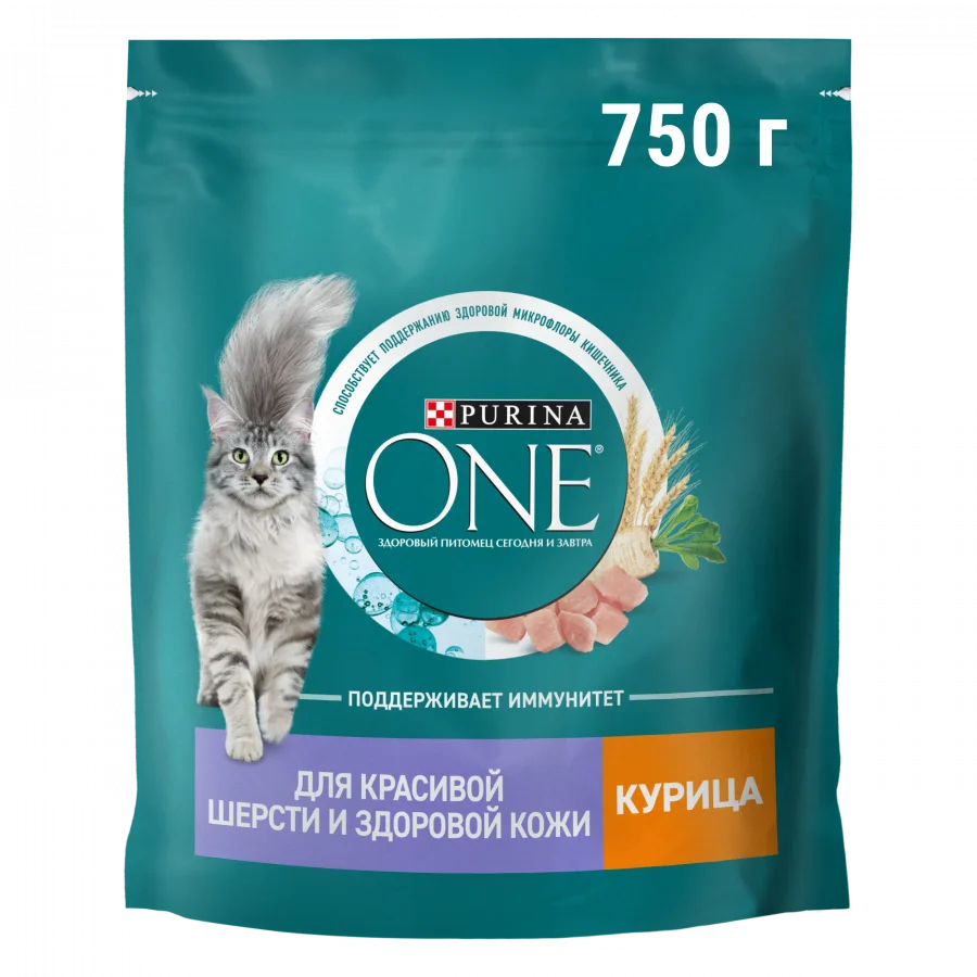 Сухой корм Purina ONE® для взрослых кошек для красивой шерсти, здоровой кожи и контроля образования волосяных комков, с высоким содержанием курицы и цельными злаками, Пакет,750 г
