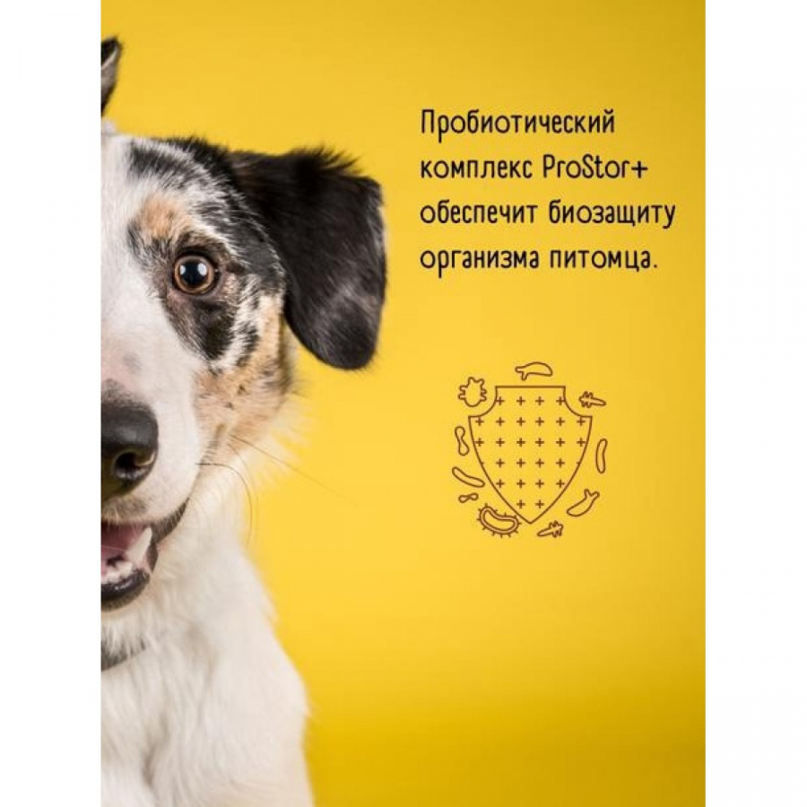 Сухой корм премиум класса SIRIUS для взрослых собак, мясной рацион, 2 кг